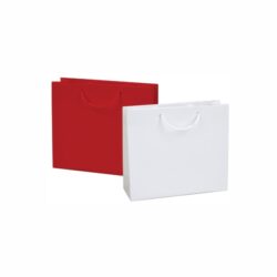 Laminated Paper Shopping Bags QS-PB2062