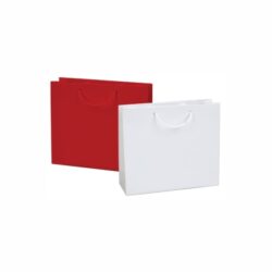 Laminated Paper Shopping Bags QS-PB2061