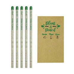 UAE Day Plantable A Pencils Set - Image 3