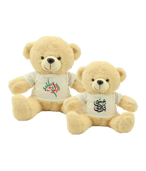 UAE-Day-Teddy-Bear-TB-02-600x600.png