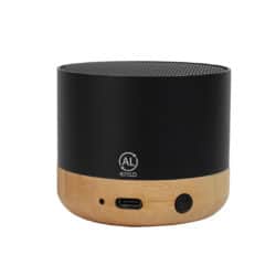 SALIENT - Bamboo Speaker
