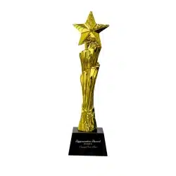 Aurum Star | 11579 Award Trophy Star Vertical full gold with black base